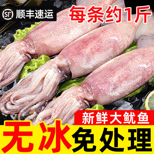 特大三去鱿鱼顺丰包邮