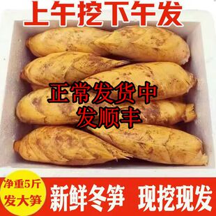 浙江冬笋新鲜现挖现发时令蔬菜鲜笋竹笋毛笋黄泥笋火锅配菜去老根