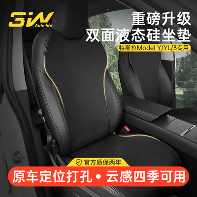 3W特斯拉专用双面液态硅座垫