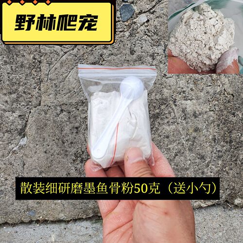 陆龟钙粉墨鱼骨鬃狮蜥蜴