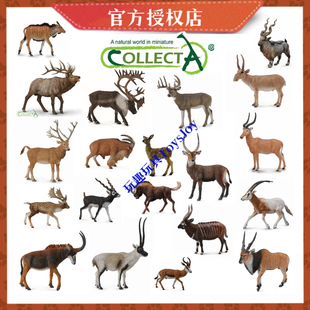 【蹄角类推荐】CollectA野生动物玩具仿真动物模型 蹄角类羚羊鹿