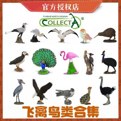 [飞禽鸟类合集]CollectA仿真动物模型玩具儿童认知早教礼物飞鸟类