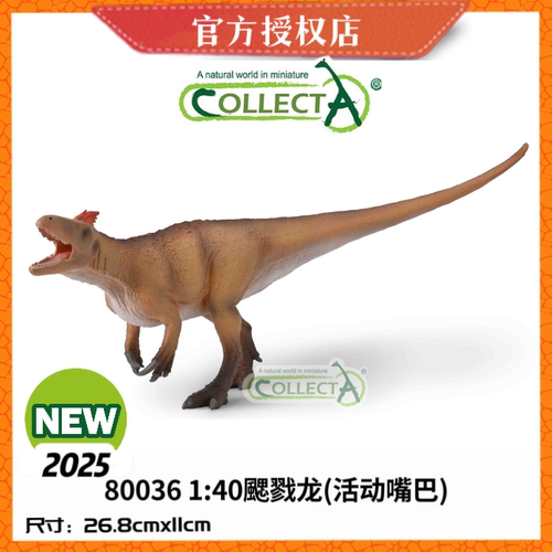 [2025新品]英国CollectA恐龙生动物模型玩具80036 1: 40 颸戮龙