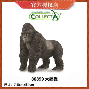 英国CollectA我你他仿真野生动物模型88899大猩猩红猩猩黑猩猩