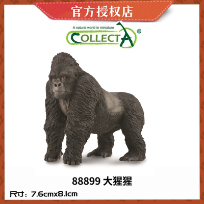 英国CollectA我你他仿真野生动物模型88899大猩猩红猩猩黑猩猩