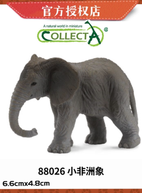 英国CollectA我你他仿真野生动物模型玩具大象幼崽88026 小非洲象