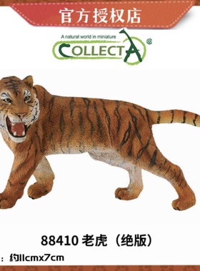 英国CollectA我你他仿真野生动物模型88789东北虎西伯利亚虎白虎