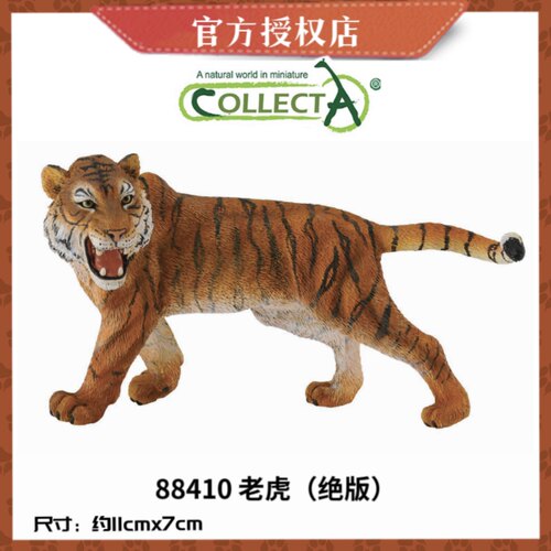 英国CollectA我你他仿真动物模型东北虎西伯利亚虎88789白虎