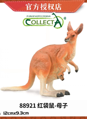 英国CollectA我你他仿真野生动物模型88921红袋鼠母子88942雄袋鼠