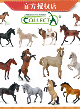 [骏马大全]CollectA仿真模型马玩具 马术馆情景摆件 儿童认知礼物