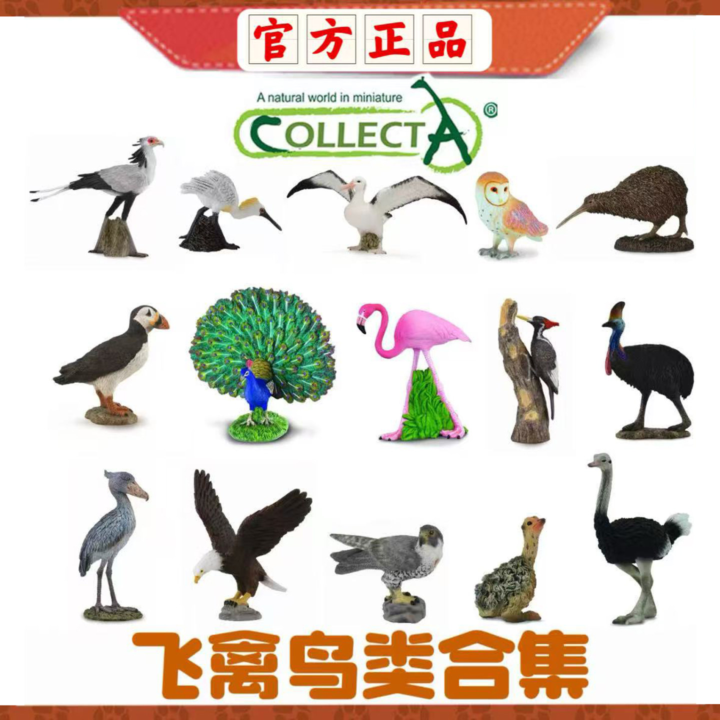 [飞禽鸟类合集]CollectA仿真动物模型玩具儿童认知早教礼物飞鸟类