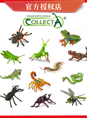 [小探索]CollectA昆虫蝴蝶爬行两栖仿真动物模型微观世界沙盘模型