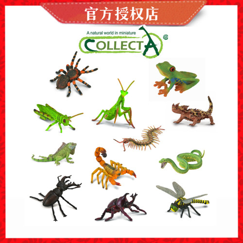 昆虫仿真动物模型Collecta