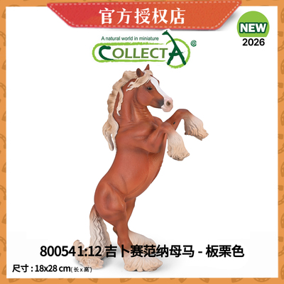 现货[2026新品] CollectA英国仿真动物模型 我你他新品上市