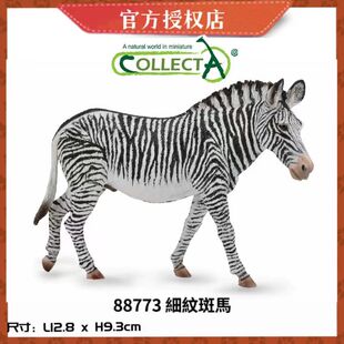 英国CollectA我你他仿真野生动物模型88830平原斑马 细纹斑马玩具