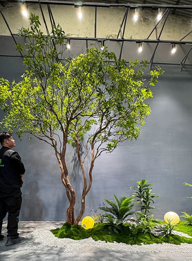 高端马醉木天井造景橱窗植物室内仿真绿植装饰树大型假树吊钟景观