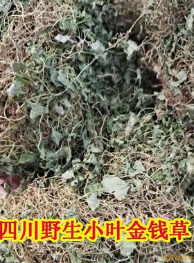 四川无硫新鲜小叶金钱草干茶泡水煮茶干净野生中草药350g排石茶