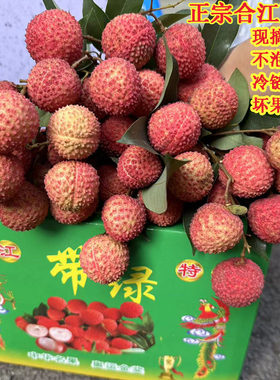 荔枝妃子笑新鲜 泸州合江当季晚熟水果四川农家老树现摘现发带绿