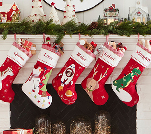圣诞节专用 仙女恐龙雪人多款 可绣名字 精致漂亮贴布绣圣诞袜