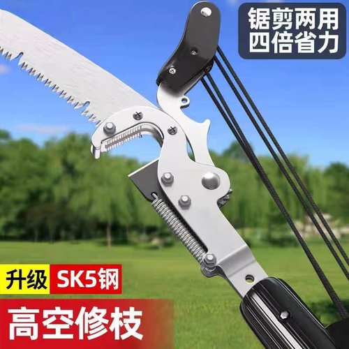 修枝剪高处精准修剪，果树不美？