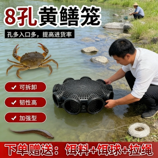 新款沉底八孔黄鳝鱼笼神器户外专用泥鳅虾笼六孔鳝鱼水沟稻田鱼网