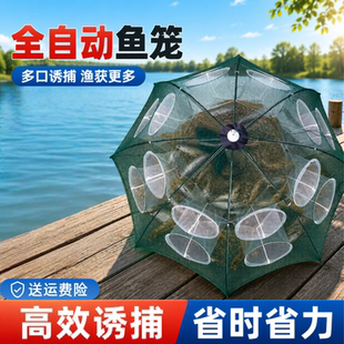 伞形捕鱼网虾米笼抓鱼笼虾网自动折叠黄鳝泥鳅龙虾笼手抛网鱼网子