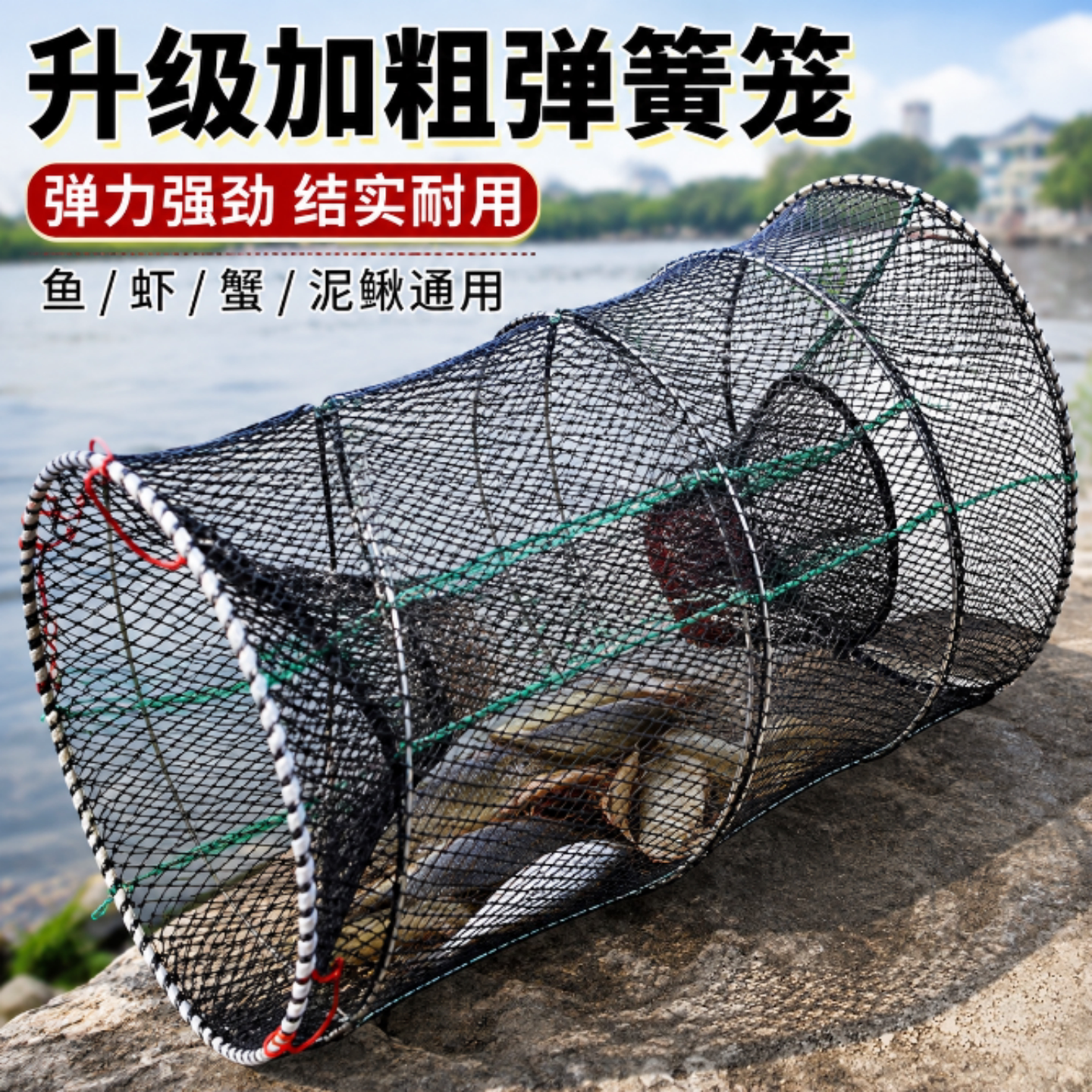 折叠弹簧笼鱼网笼新款2026鱼笼捕鱼花篮抓乌龟甲鱼黑鱼鲫鱼耐用款