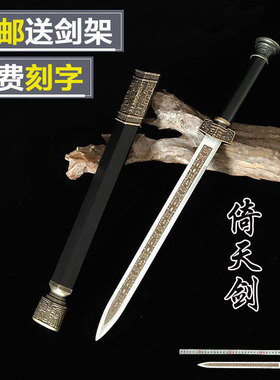 龙泉市不锈钢刀剑防身刀镇宅宝剑冷兵器摆件短剑户外道具未开刃