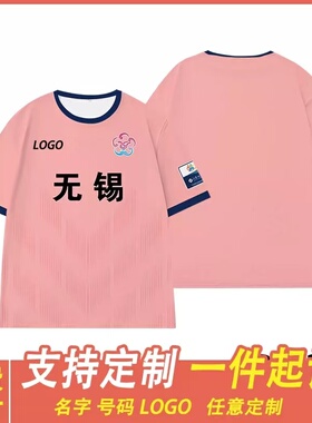 苏超无锡队球迷应援服短袖T恤衫男江苏城市足球联赛球衣女衣定制