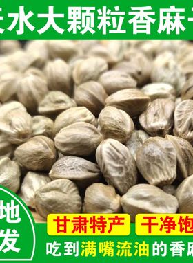 甘肃特产天水麻子大颗粒原味五香生麻子籽火麻子人吃零食新货包邮