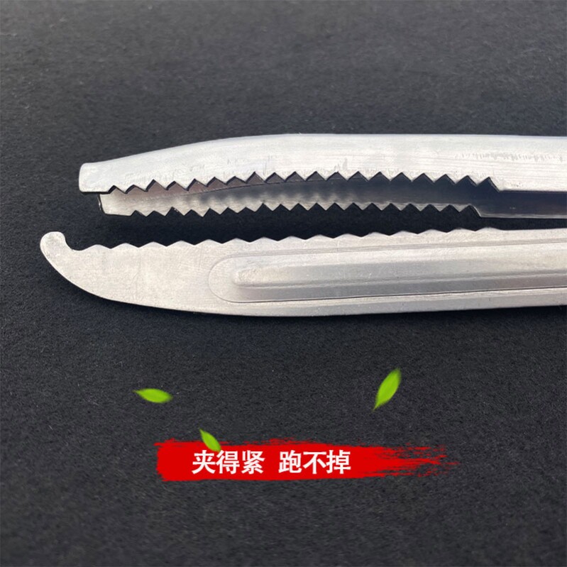 可回弹鳝夹不锈钢鳝鱼泥鳅钳抓鱼把控鱼钳弯头螃