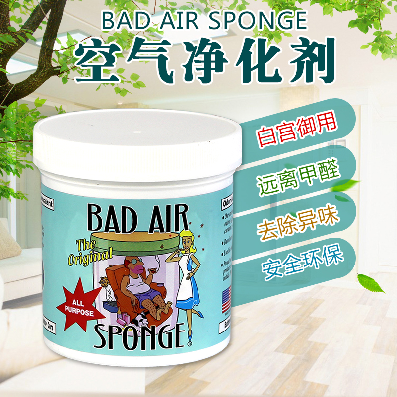 美国进口BadAir Sponge空气净化剂除甲醛清除剂装修污染异味 家装主材 甲醛清除剂 原图主图