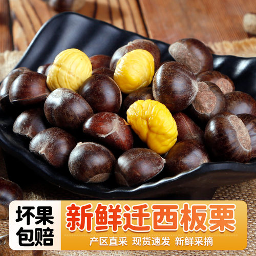 正宗迁西板栗生新鲜下树拉