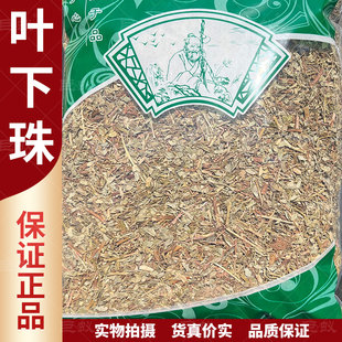 叶下珠中药材500g克新货正品叶下珠茶珍珠草龙珠草鱼鳞草干货包邮