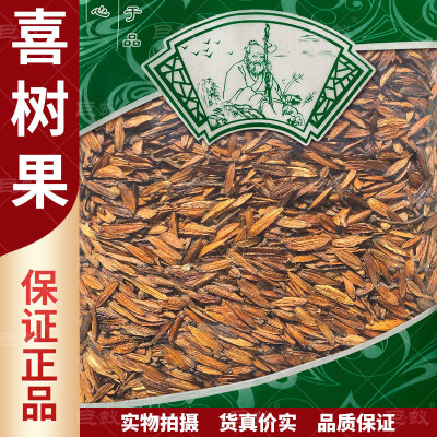 喜树果中药材500g克新货正品