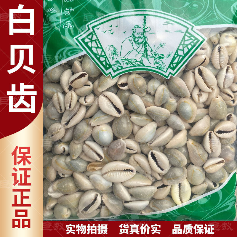 白贝齿中药材500g克新货正品贝子白贝子海白贝齿白海肥干货包邮