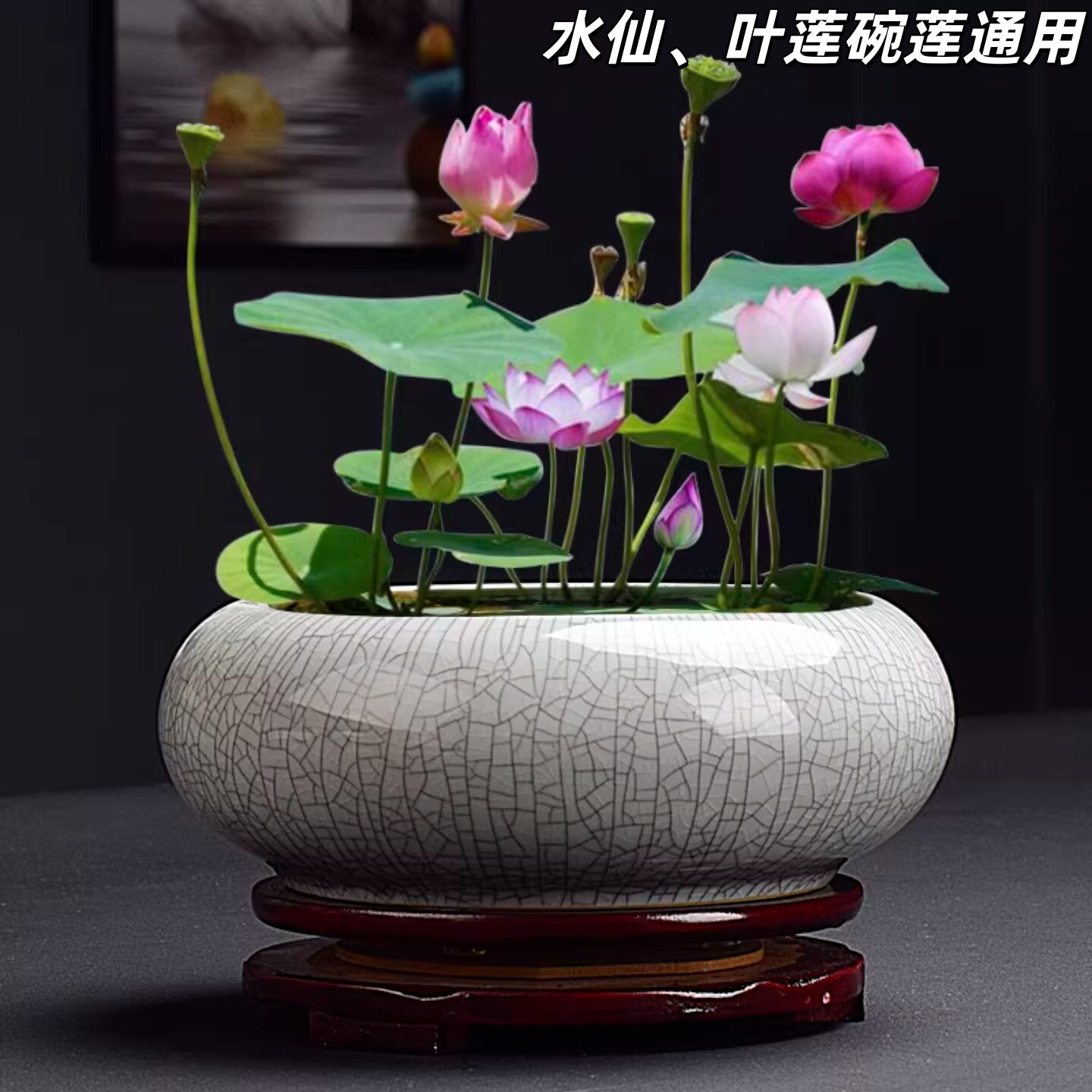 陶瓷大口径无孔水培花盆带底座