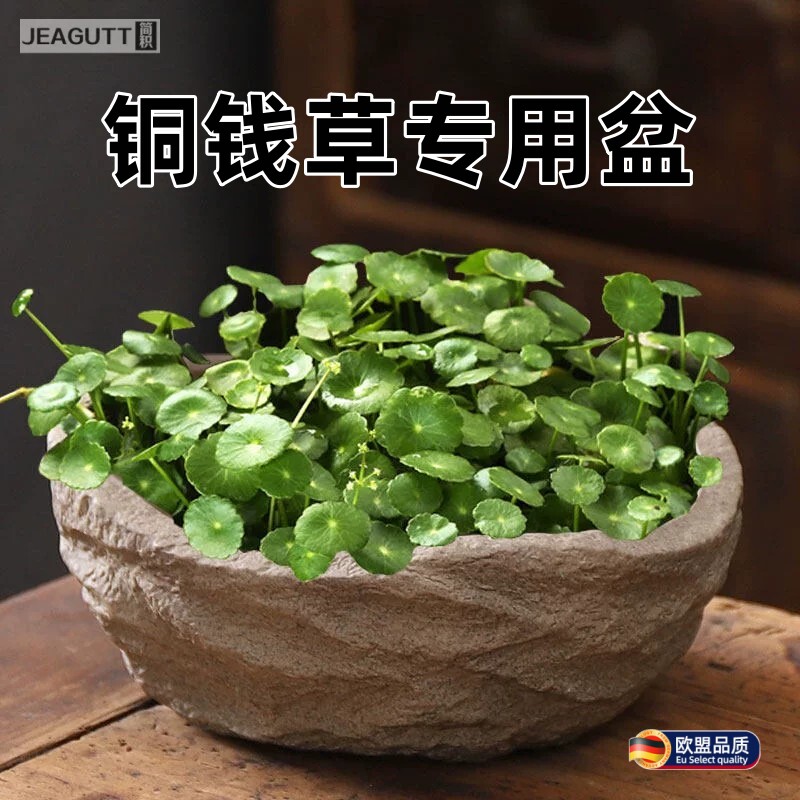 高档现代仿石长方形水培花盆