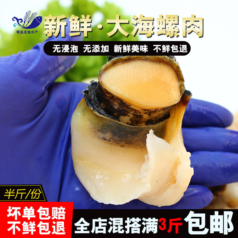 鲜活手工现剥海螺肉冷冻保存