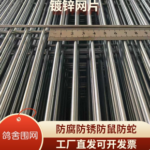 镀锌铁丝网养殖围栏鸽舍鸟笼围网电焊网格网片狗笼垫底网鸽舍地网