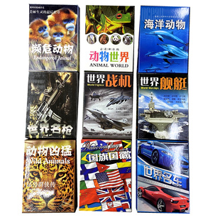 扑克牌收藏中国扑克馆纸牌儿童早教益智娱乐世界名车标志汽车图案