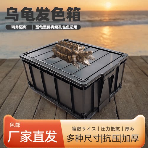 发色盒乌龟缸龟箱孵化隔离周转箱