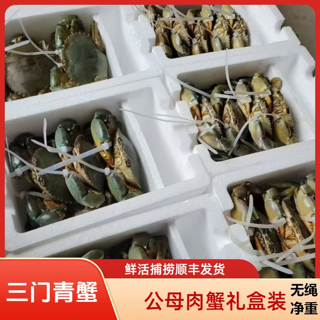 鲜活三门青蟹公母肉蟹膏蟹大螃蟹