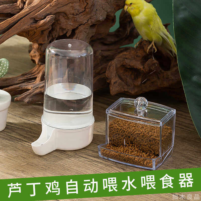 卢芦丁鸡喂食器喂水器小