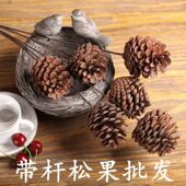松果干花客厅摆设真干花天然松果松塔插花拍摄道具DIY圣诞节装 饰