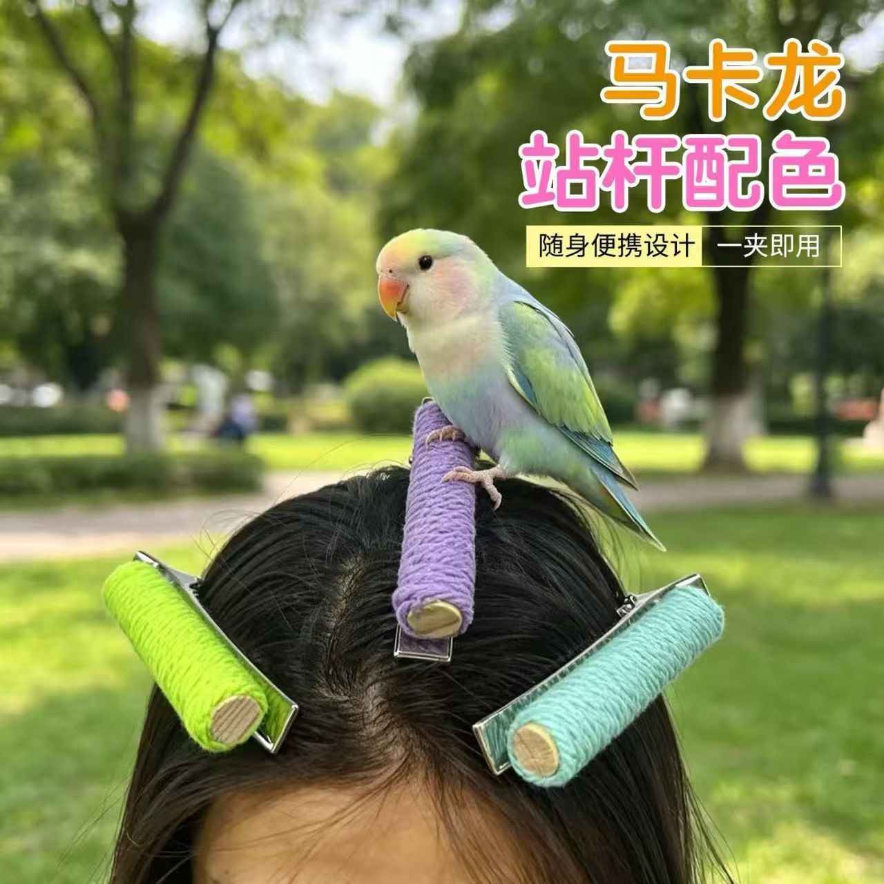 鹦鹉站肩棒夹子啃咬互动棉绳站杆防抓防挠便携实木随心夹鹦鹉站架图片