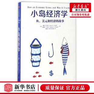 财经管理 经济学理论 9787508672960 新华正版 中信集团 美彼得D希夫安德鲁J希夫 中信 图书籍 小岛经济学
