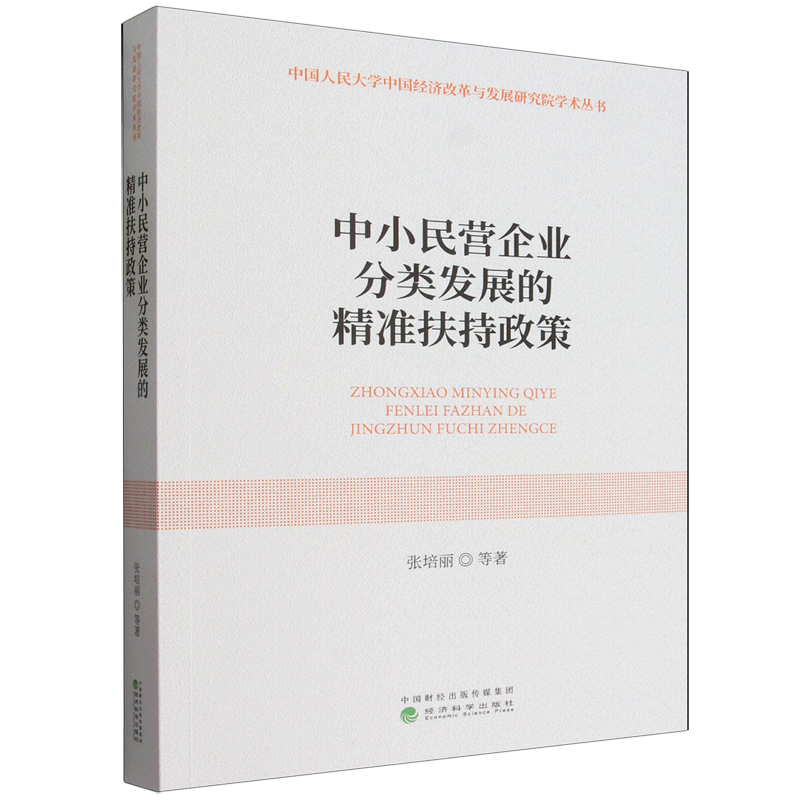 中小民营企业分类发展的精准扶持政策