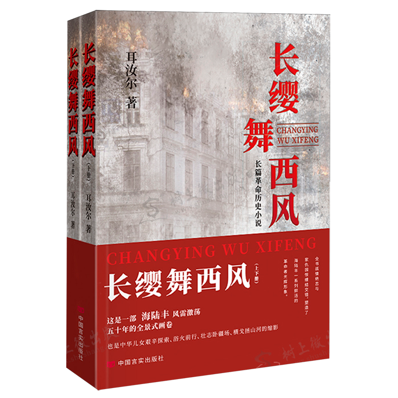 新华正版 长缨舞西风上下 作者:耳汝尔 中国言实出版社 武汉市弦动力信息技术 畅销书 图书籍