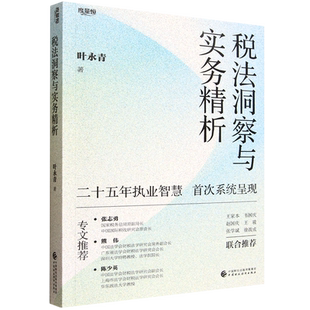 税法洞察与实务精析
